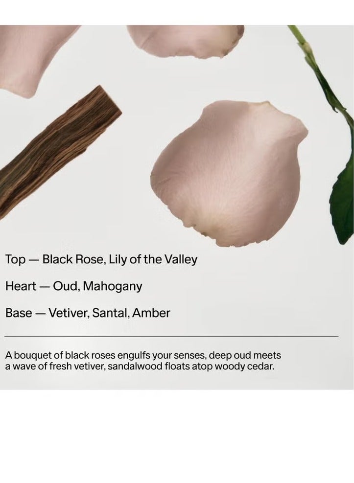 SALT & STONE Deodorant | Extra Strength Natural Deodorant for Women & Men | Aluminum Free with Seaweed Extracts, Shea Butter & Probiotics (Mini Deodorant Discovery Set) - Image 5