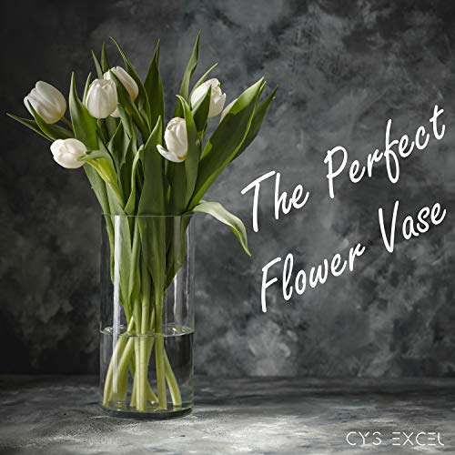 CYS Excel Clear Glass Cylinder Vase (H:9" D:4") Flower Vase Centerpieces Hurricane Floating Candle Holder - Image 4