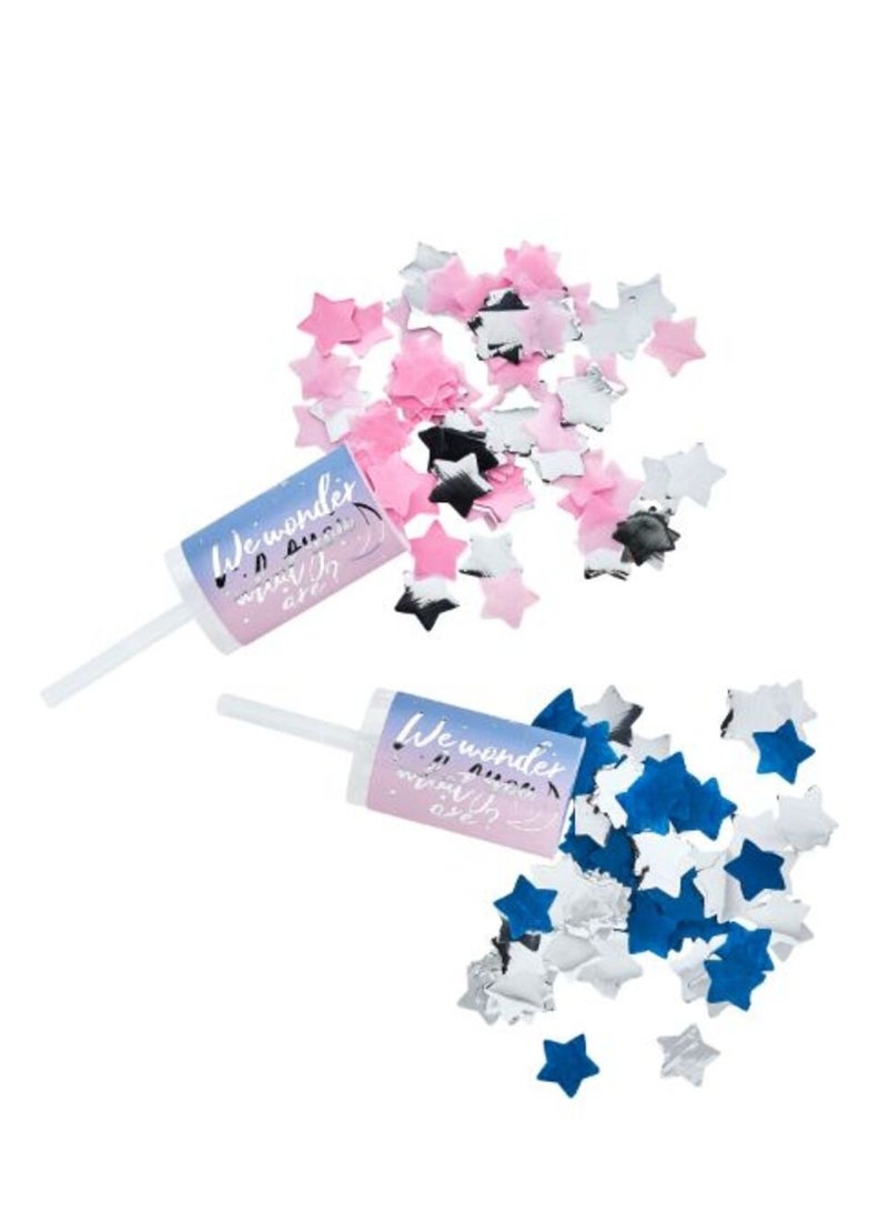 Gender Reveal Confetti Push Pops 2/Pack