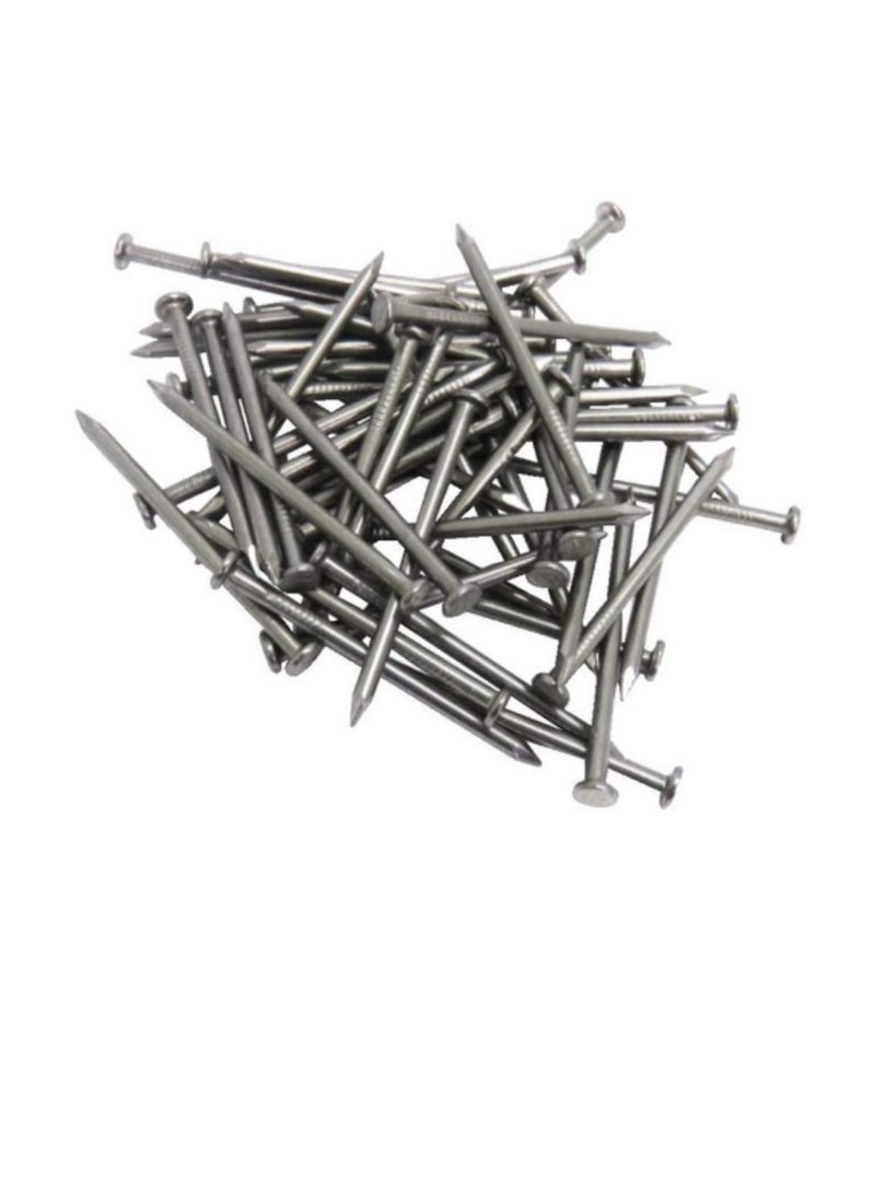 High Strength Round Head Nails For Carpentry Hardware Electrical Etc (100, 3 inch) - Image 1