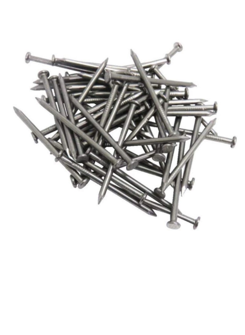 High Strength Round Head Nails For Carpentry Hardware Electrical Etc (100, 3 inch) - Image 3