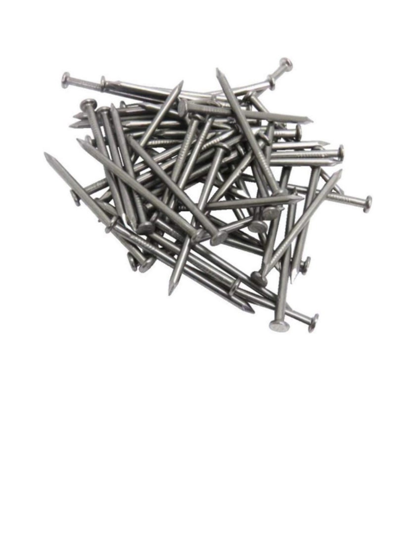 High Strength Round Head Nails For Carpentry Hardware Electrical Etc (100, 3 inch) - Image 2
