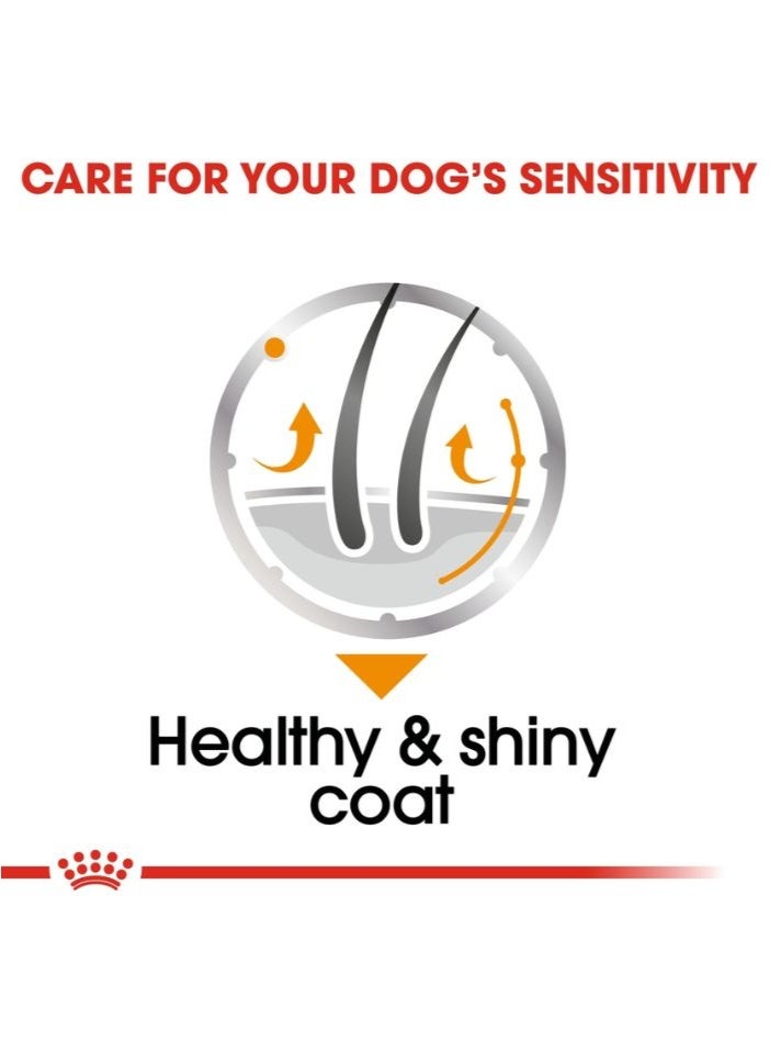 ROYAL CANIN Canine Care Nutrition Coat Care (WET FOOD - Pouches) 12 x 85g - Image 5