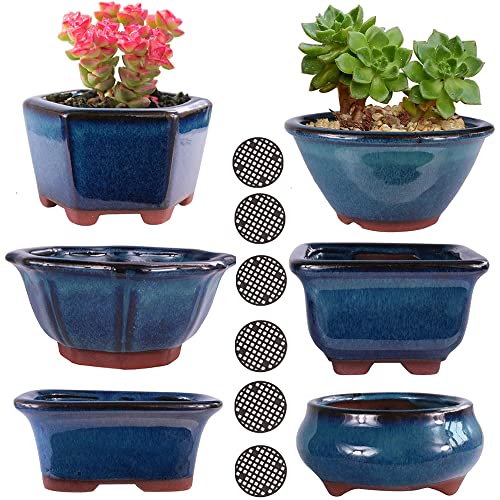MUZHI 6PACK Glazed Bonsai Pot Planter 3" 4” Small Succulent Pots, Yixing Zisha Decorative Mame Bonsai Training Pot or Small Flower Cactus Starter Growing Planters Containers Blue - Image 1