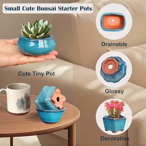 MUZHI 6PACK Glazed Bonsai Pot Planter 3" 4” Small Succulent Pots, Yixing Zisha Decorative Mame Bonsai Training Pot or Small Flower Cactus Starter Growing Planters Containers Blue - Image 2