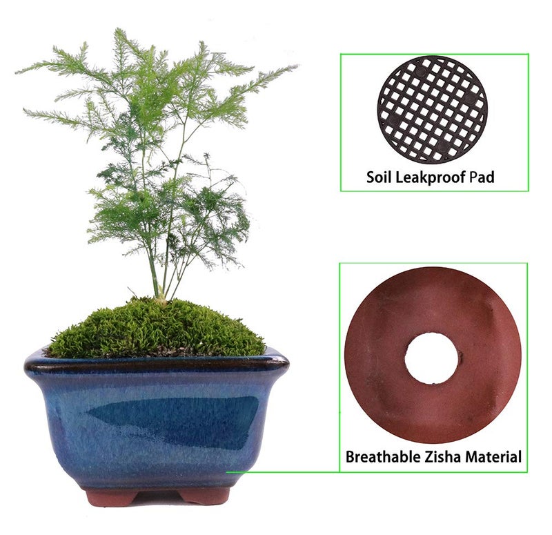 MUZHI 6PACK Glazed Bonsai Pot Planter 3" 4” Small Succulent Pots, Yixing Zisha Decorative Mame Bonsai Training Pot or Small Flower Cactus Starter Growing Planters Containers Blue - Image 5