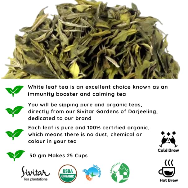 Radhikas Fine Teas and Whatnots Pisces White Leaf, Darjeeling, Herbal, Improves Immunity, Worlds Healthiest, Zodiac Collection, Gifting 50 gm Makes 25 Cups of Tea - Image 3