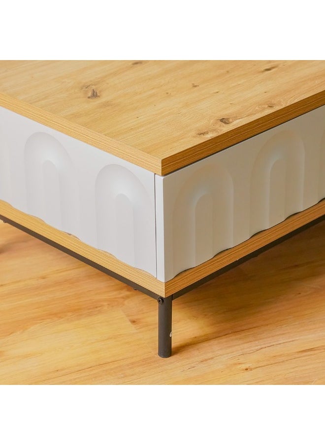 DANUBE HOME Delmar Centre Table With 2 Drawers Multifunctional Living Room Coffee Table Modern Design Furniture For Home L120Xw60Xh42Cm-Natural/Grey  - Image 5