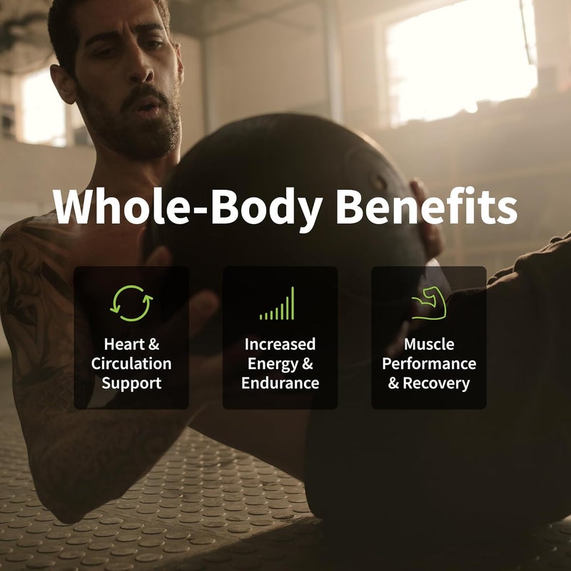 SNAP SUPPLEMENTS Snap L Arginine Capsules  Blood Circulation Supplements with Nitrosigine  L Citrulline for Natural Energy Increase Blood Flow  Muscle Growth Herbs for Cardio Health 60 Capsules - Image 4