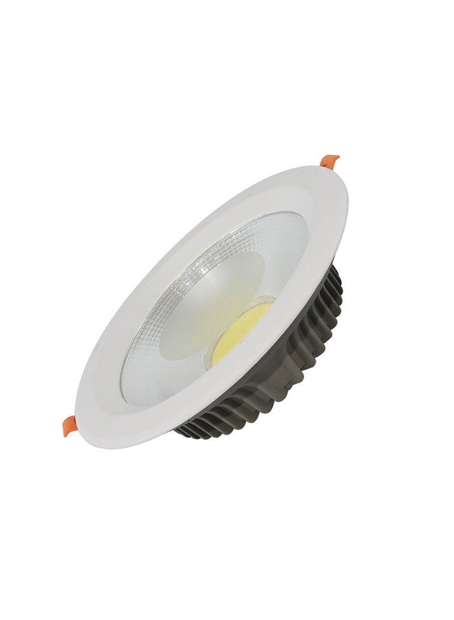 GREEN LIGHT COB DOWNLIGHT 30W - Image 1