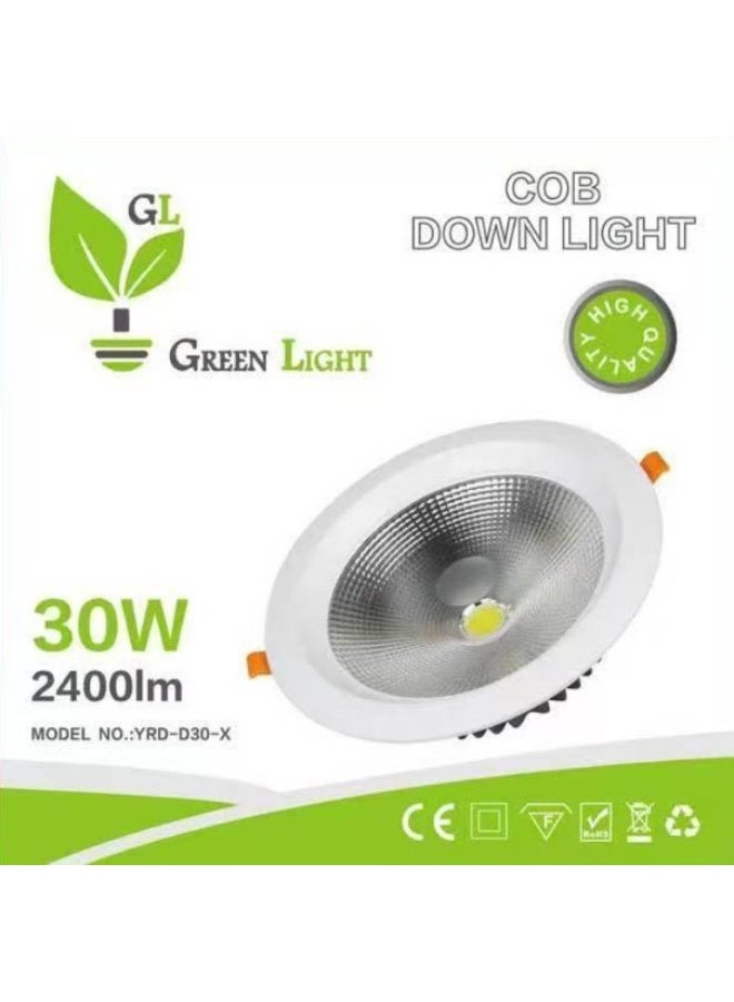 GREEN LIGHT COB DOWNLIGHT 30W - Image 3
