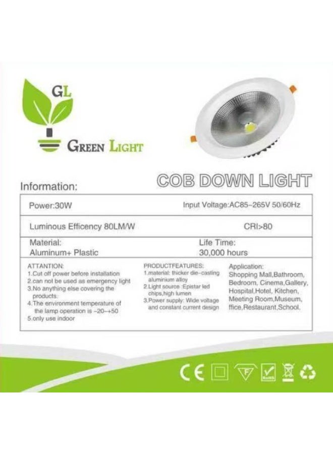 GREEN LIGHT COB DOWNLIGHT 30W - Image 4