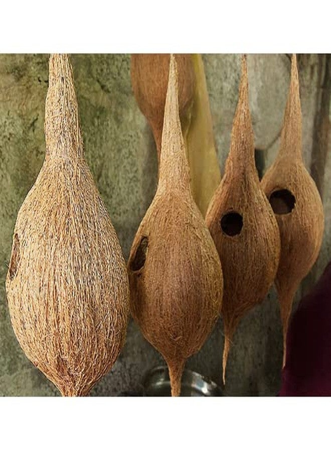 Coconut Coir Fiber Organic Bird Nest Medium Size/Hand Made Pure Natural Coir Bird Hanging Nest Cage House for Indoor & Out Door - Image 2