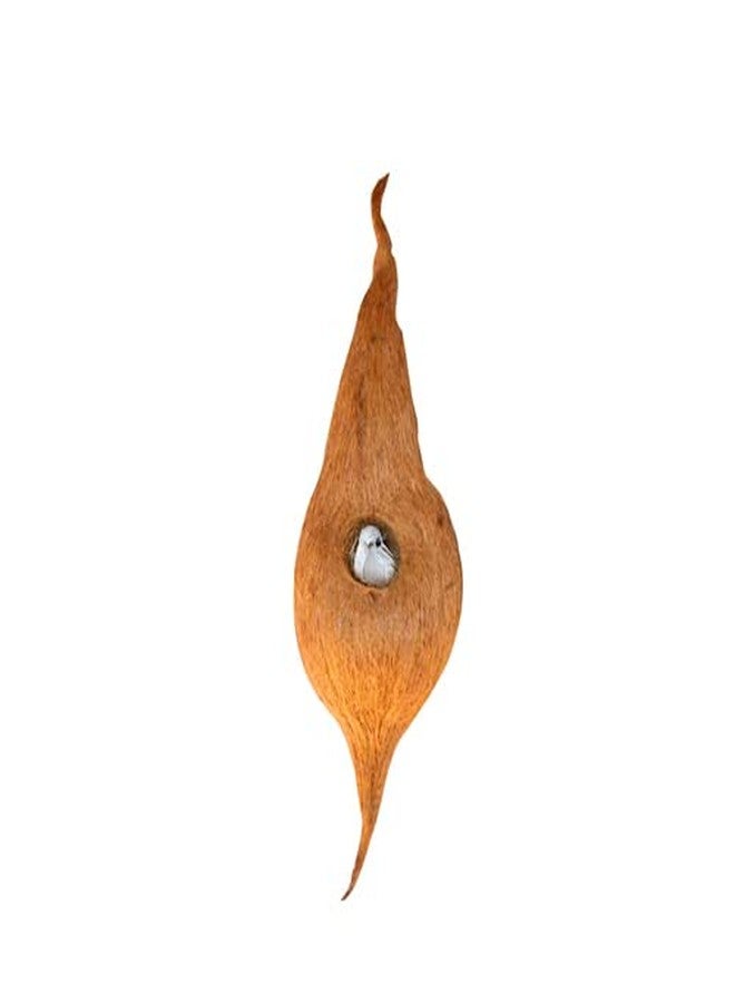Coconut Coir Fiber Organic Bird Nest Medium Size/Hand Made Pure Natural Coir Bird Hanging Nest Cage House for Indoor & Out Door - Image 1