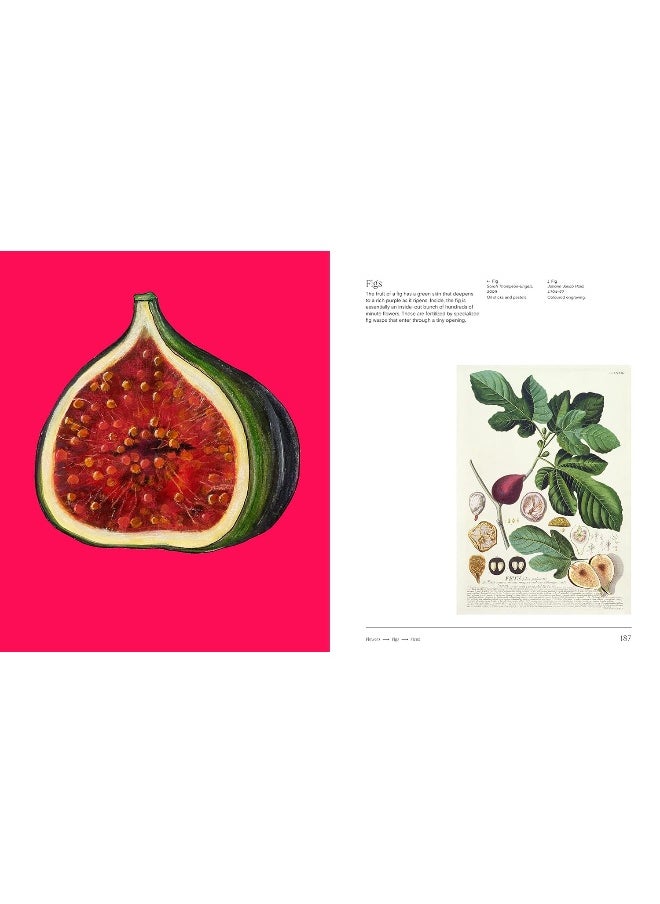 null - Trees: From Root to Leaf - Image 1