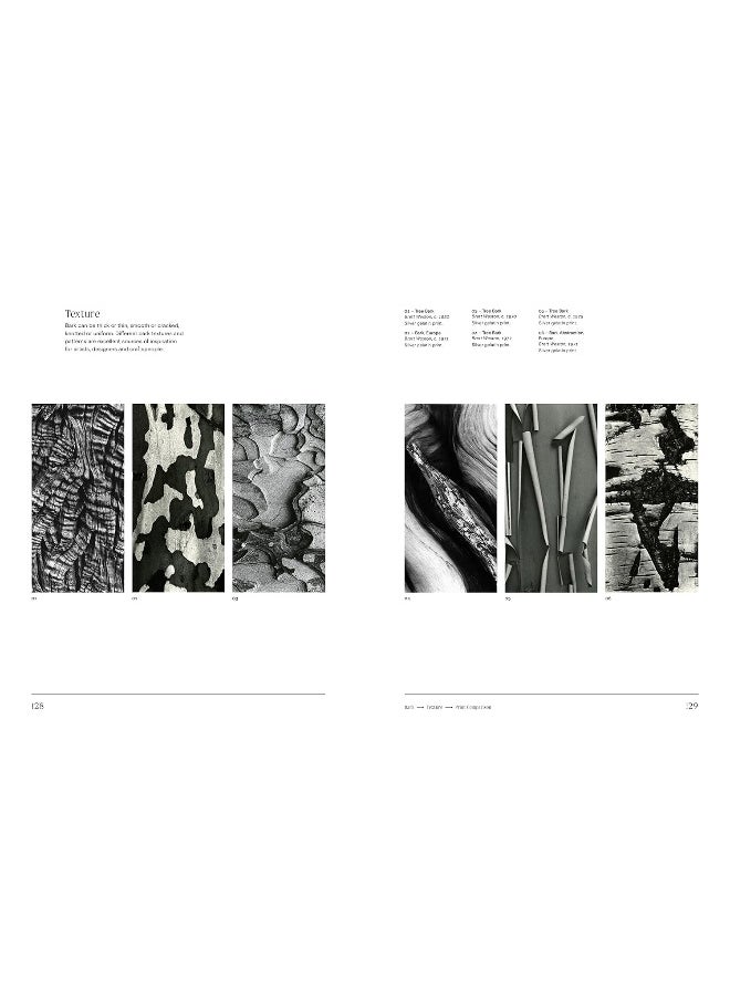null - Trees: From Root to Leaf - Image 1