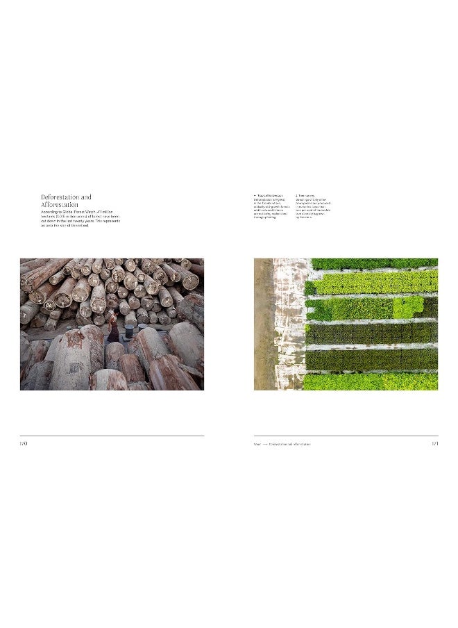null - Trees: From Root to Leaf - Image 1