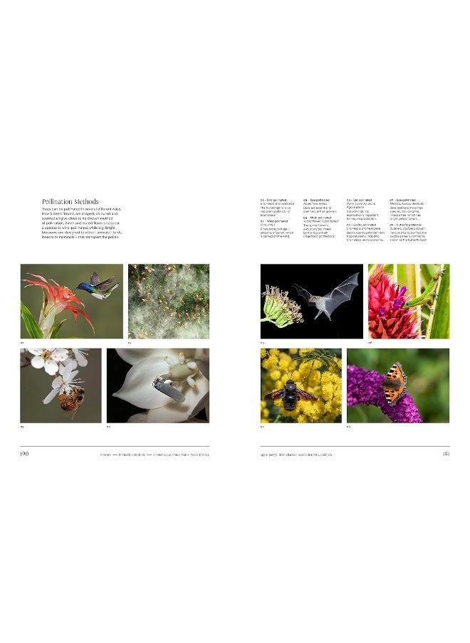 null - Trees: From Root to Leaf - Image 1