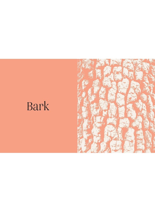null - Trees: From Root to Leaf - Image 1