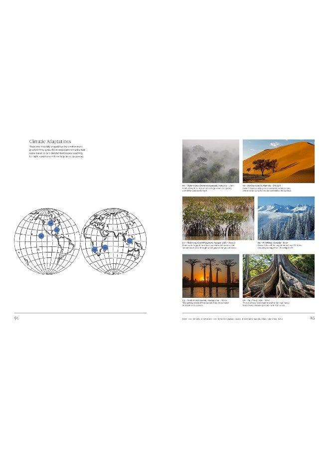 null - Trees: From Root to Leaf - Image 1