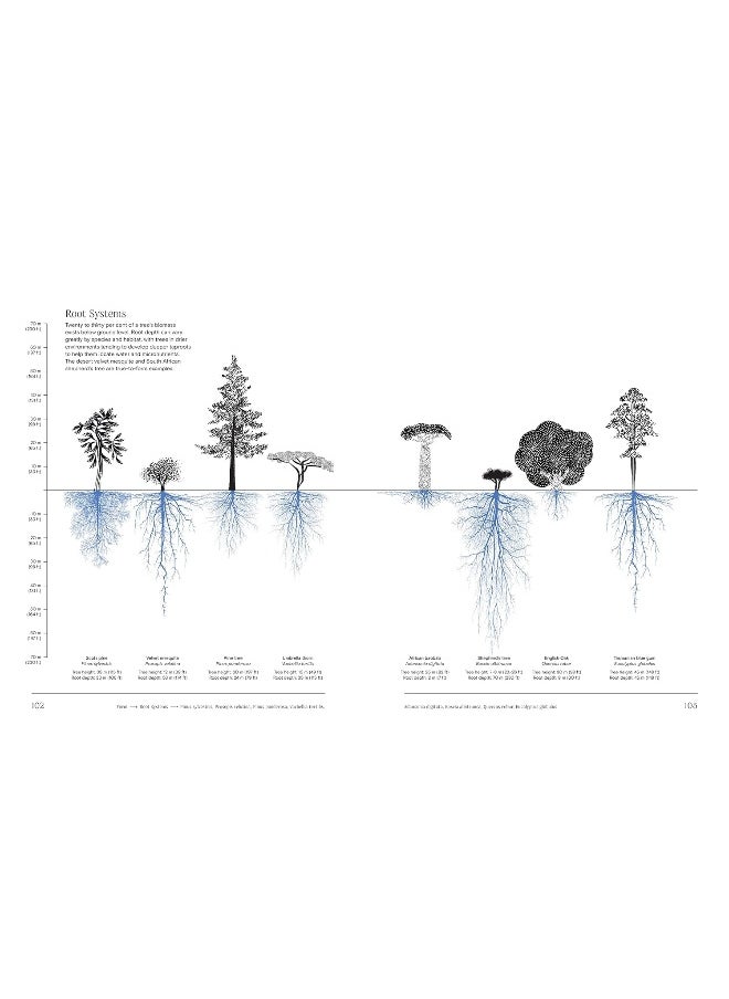 null - Trees: From Root to Leaf - Image 1