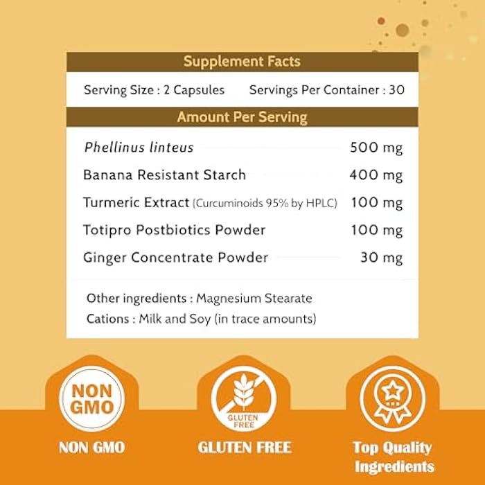 Fecula Biotech Turmeric Curcumin & Postbiotic Supplement, 60 Capsules – Liver Support, Gut Health & Detox – Antioxidant, Cleansing Formula - Image 2