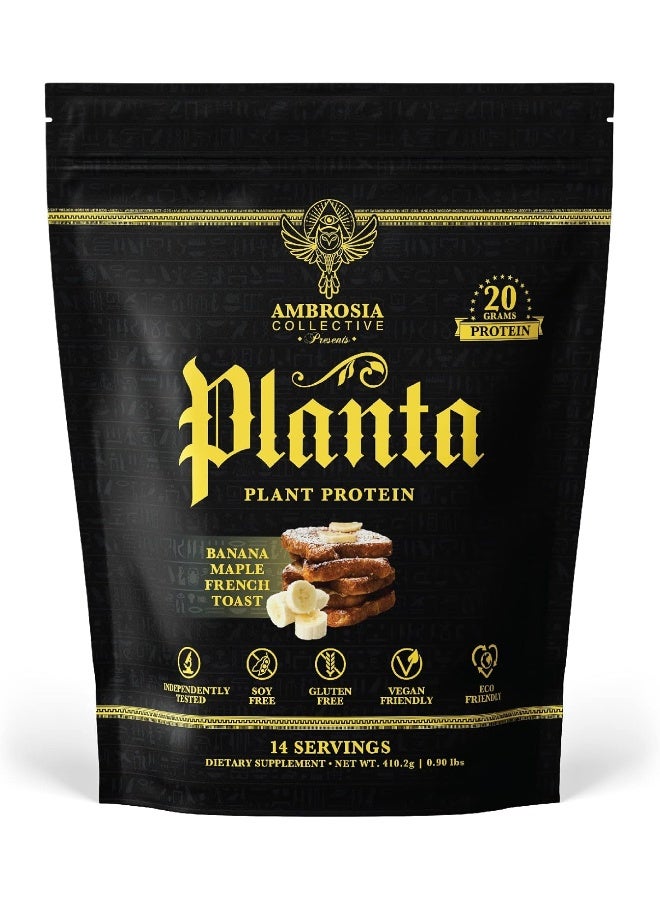 Ambrosia Planta - Premium Organic Plant-Based Protein | Vegan & Keto Friendly | Gourmet Flavors With No Bloating Or Stomach Upset | No Added Sugar | 14 Servings | (Banana Maple) - Image 1