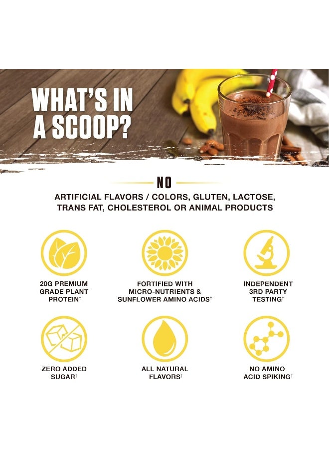 Ambrosia Planta - Premium Organic Plant-Based Protein | Vegan & Keto Friendly | Gourmet Flavors With No Bloating Or Stomach Upset | No Added Sugar | 14 Servings | (Banana Maple) - Image 4