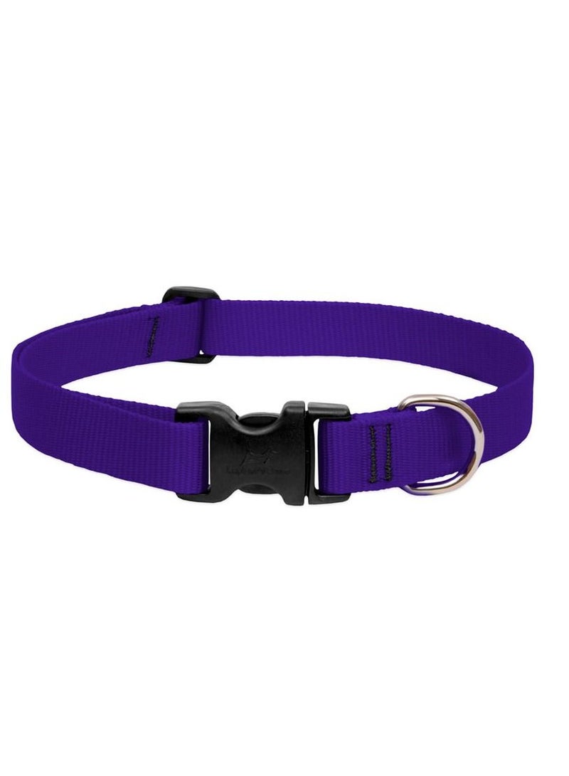 Basics Adjustable Collar Purple 1  For Large Dogs Belt