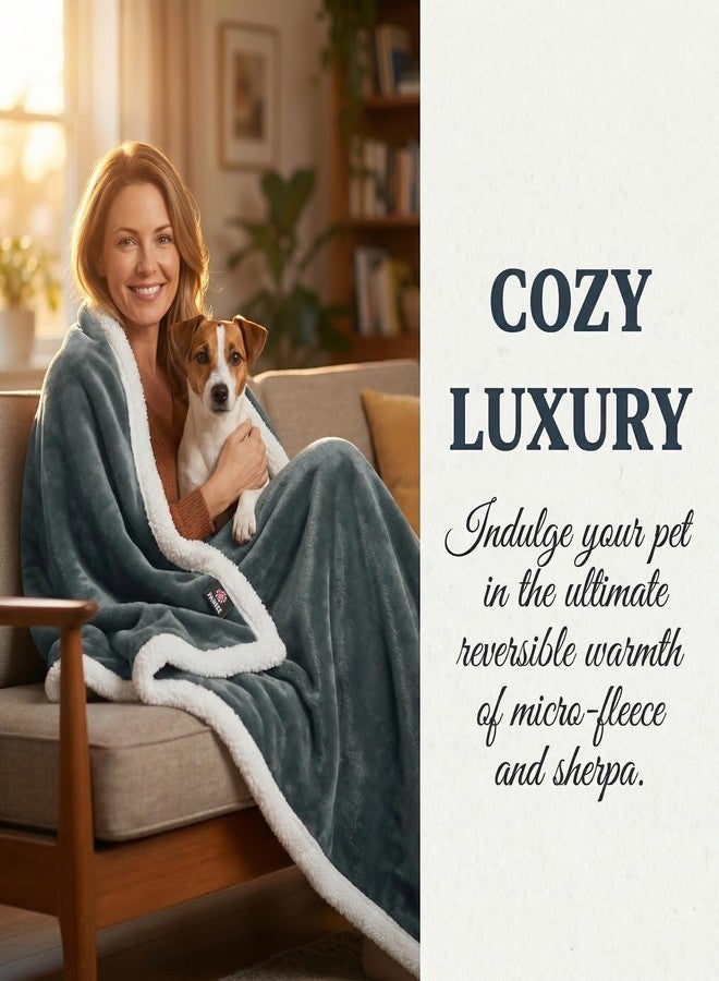 Kritter Planet Dog Blankets for Large Dogs Grey, Soft Fluffy Fleece Pet Blankets for Couch, Sofa, Dog Beds, Car Seats, Creat, Washable, 50x60 inches - Image 4