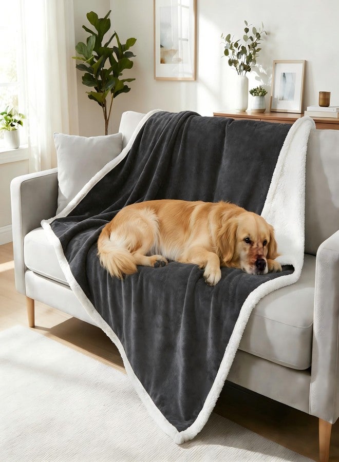 Kritter Planet Dog Blankets for Large Dogs Grey, Soft Fluffy Fleece Pet Blankets for Couch, Sofa, Dog Beds, Car Seats, Creat, Washable, 50x60 inches - Image 1