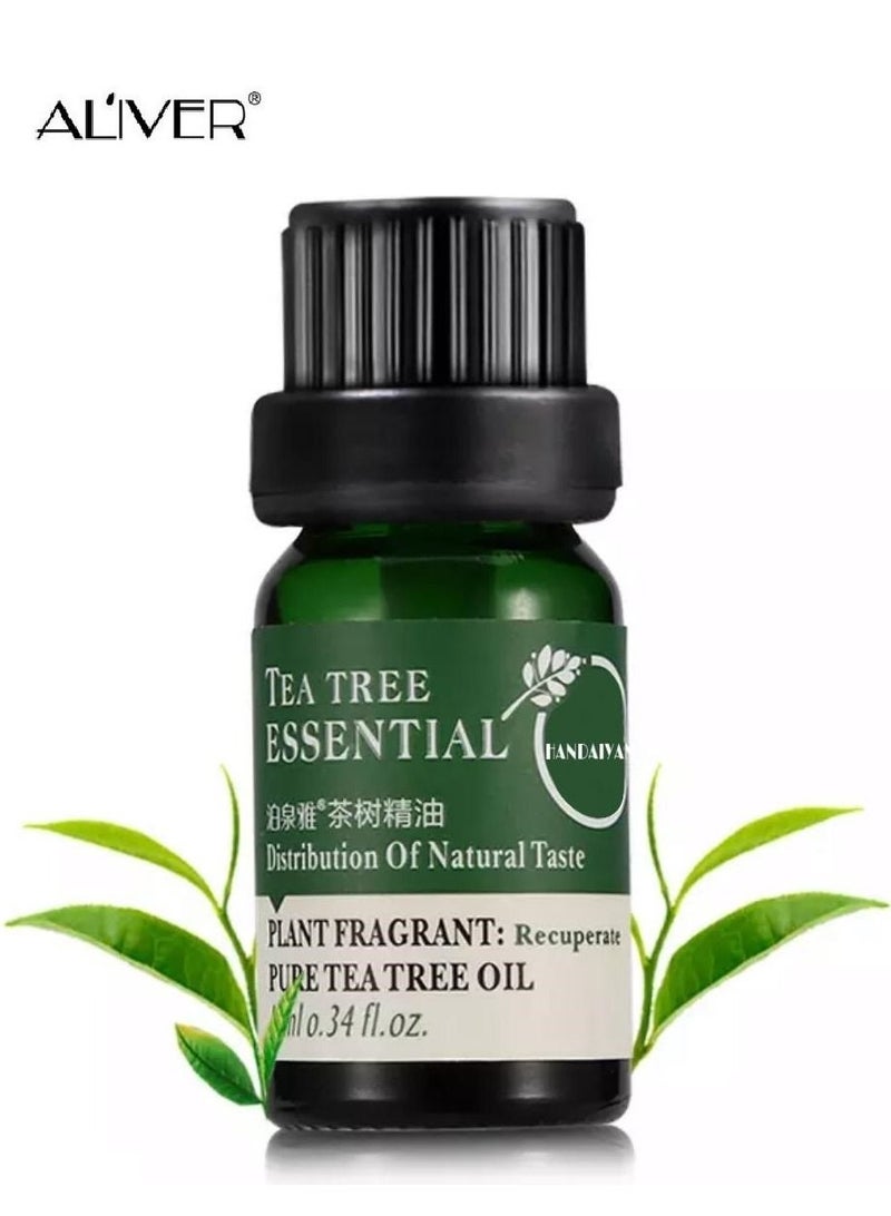 ALIVER Set of 2 Pcs Tea tree extract oil to get rid of facial spots 10ml - Image 2