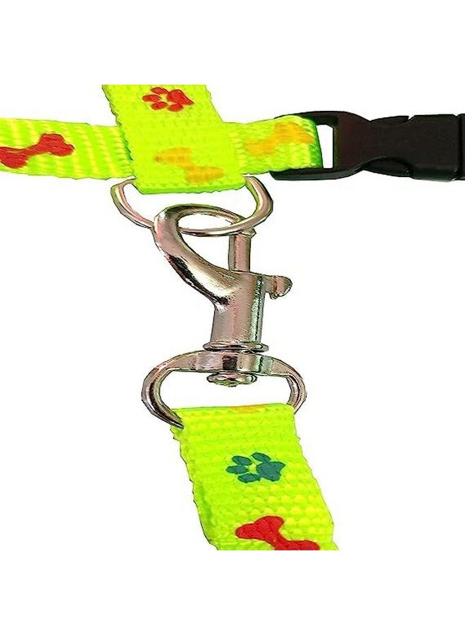 طقم حزام من النايلون للقطط الصغيرة والحيوانات الأليفة الصغيرة | طوق حزام من النايلون | حزام تدريب القطط (مطبوع عليه مخلب باللون الأخضر) - Image 4