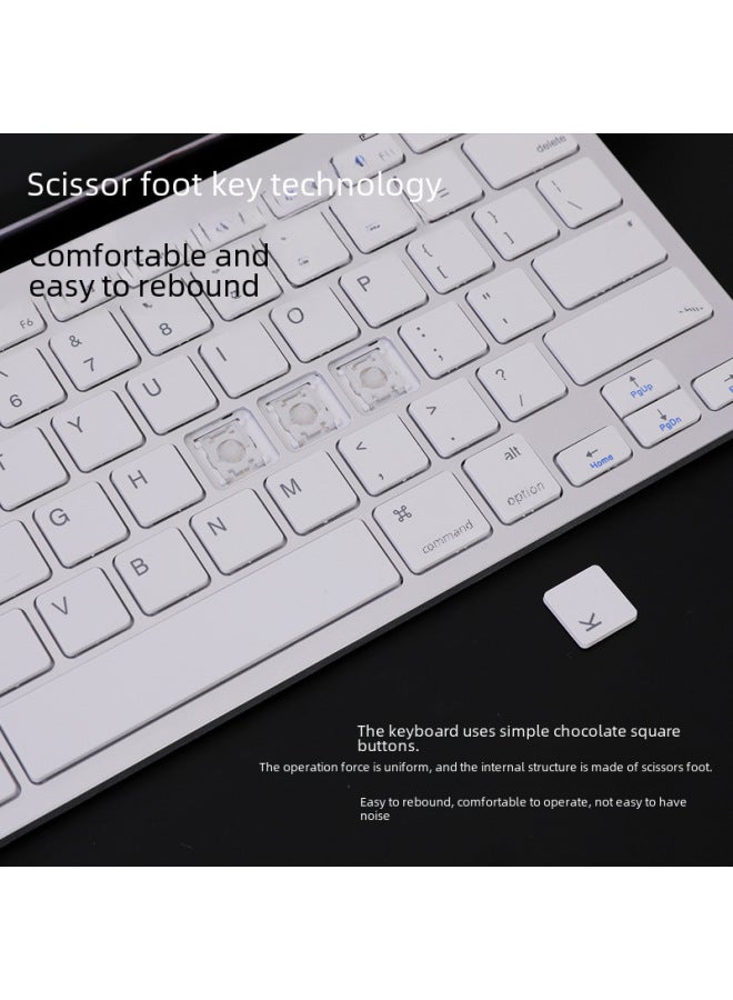 BK3001(X5) Mobile Phone Tablet Computer Universal Wireless Bluetooth Keyboard Scissor Foot Button Wireless Keyboard-Color:Silver White-unlicensed English Color Box Packaging