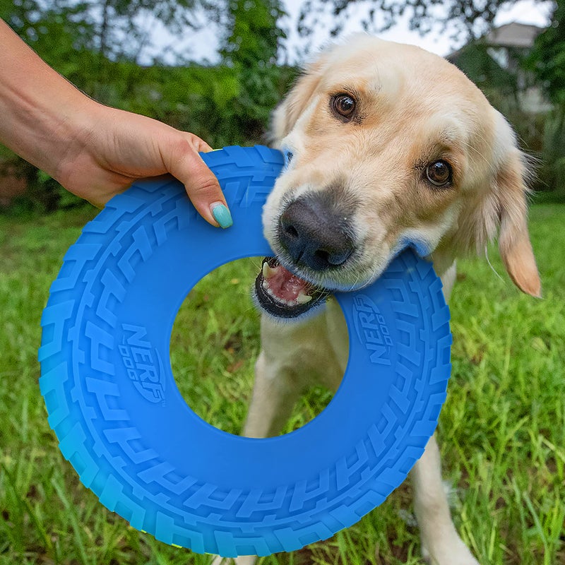 Nerf Dog Tire Flyer Outdoor Dog Toy, 10 Inch Flying Disc Dog Fetch Toy, Rubber Dog Toy for Medium Dogs and Large Dogs, Blue - Image 2