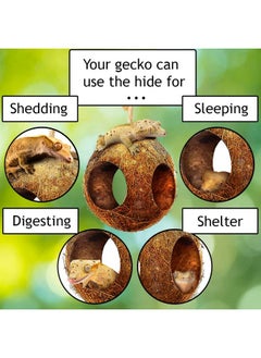 SunGrow SunGrow Leopard Gecko Coco Hut, Gecko Climbing Accessories, Raw Coconut Shell Reptile Hide, Terrarium Habitat Décor, 2.5” Opening Diameter, with Fiber Loop for Hanging (3-Holes)  - Image 4