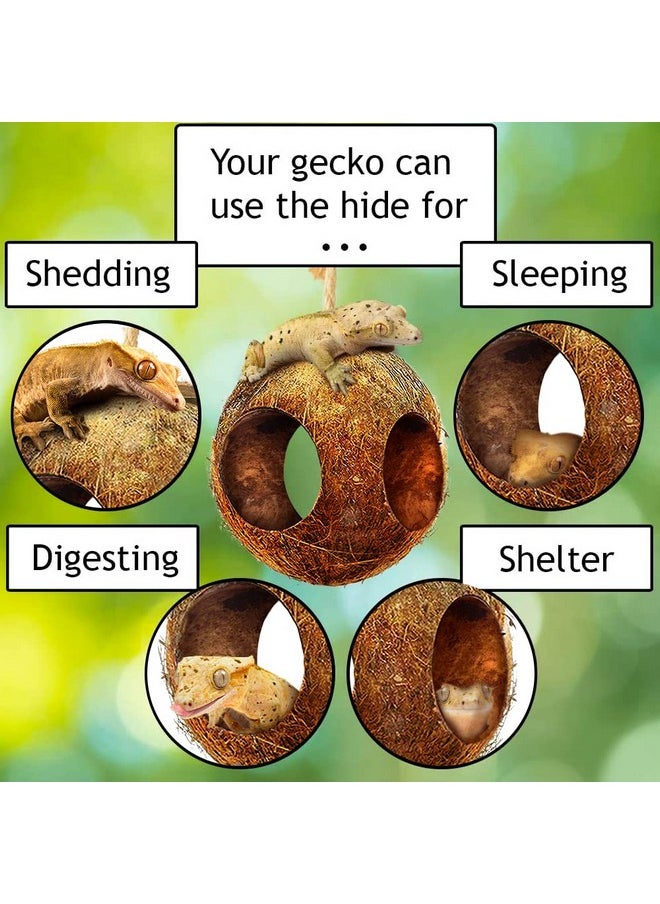 SunGrow - SunGrow Leopard Gecko Coco Hut, Gecko Climbing Accessories, Raw Coconut Shell Reptile Hide, Terrarium Habitat Décor, 2.5” Opening Diameter, with Fiber Loop for Hanging (3-Holes) - Image 1