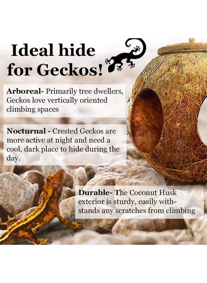 SunGrow - SunGrow Leopard Gecko Coco Hut, Gecko Climbing Accessories, Raw Coconut Shell Reptile Hide, Terrarium Habitat Décor, 2.5” Opening Diameter, with Fiber Loop for Hanging (3-Holes) - Image 1