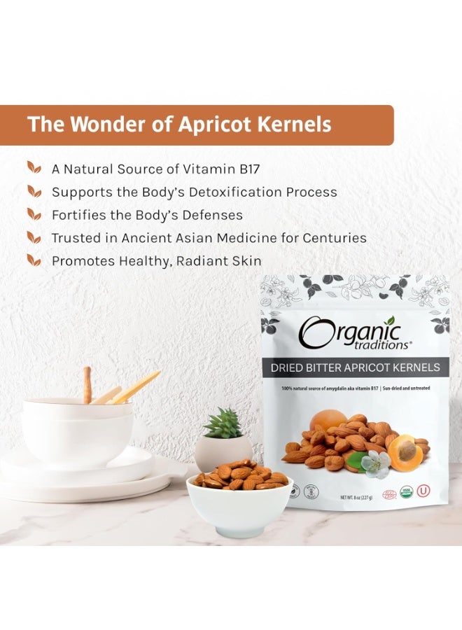 أورجانيك تراديشنز بذور المشمش الحلوة والمرة 8 أونصة - Image 1