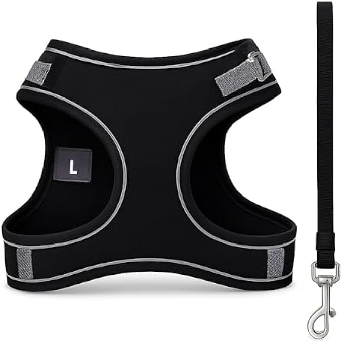 Fitto Pet Harness and Lead Set Size L 20x15cm Adjustable Padded Breathable Dog Puppy Cat Walking Harness with Leash - Image 1