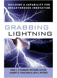 Grabbing Lightning: Building a Capability for Breakthrough Innovation 