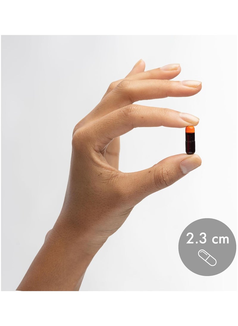 Dr. Mercola - Antarctic Krill Oil Double Strength 2000 Mg Krill Oil 4 Mg Astaxanthin 100 Mg Choline 90 Capsules - Image 1