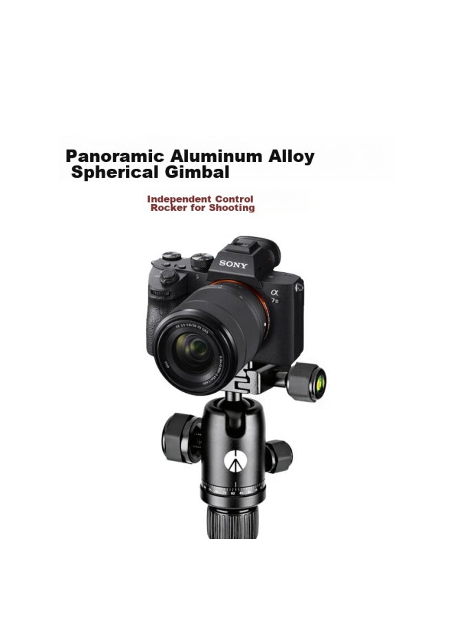 Manfrotto Element Series Small Carbon Fiber Tripod, Panoramic Ball Head, Reverse Folding, Portable, Outdoor Dslr Camera Shooting Tripod, Mkeles5cf-bh