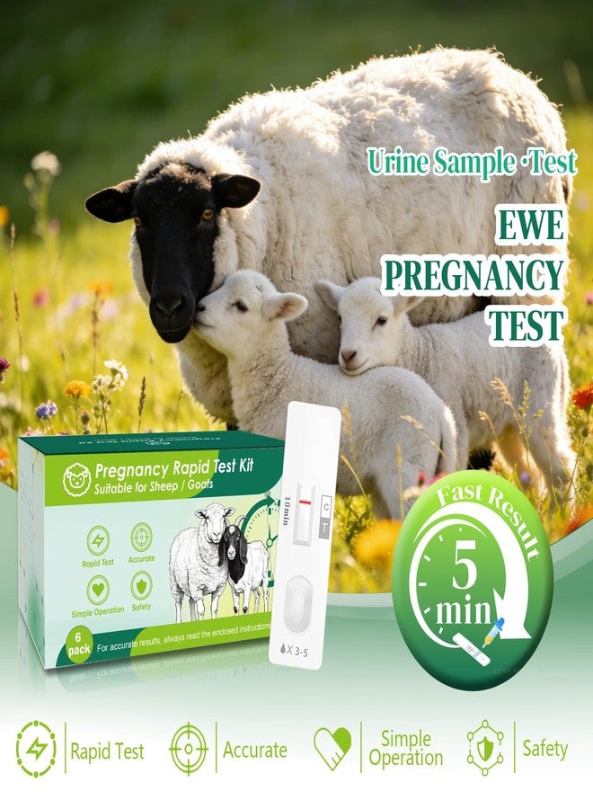 6-Pack Sheep & Goat Pregnancy Test Strips - Fast 5-10 Minute Urine Detection Kit for Early Breeding Confirmation, Accurate Livestock Testing for Home Farms - Image 2