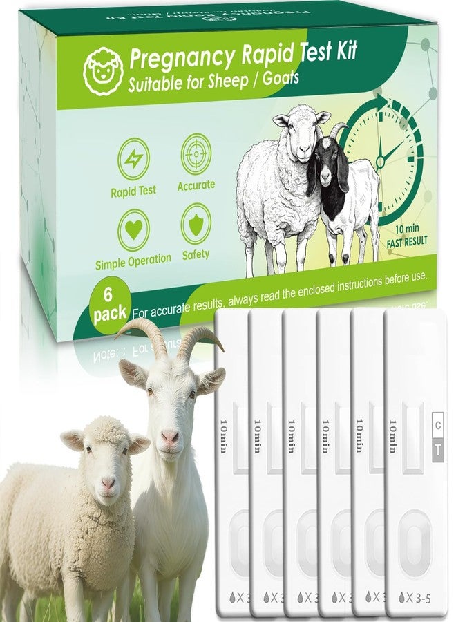 6-Pack Sheep & Goat Pregnancy Test Strips - Fast 5-10 Minute Urine Detection Kit for Early Breeding Confirmation, Accurate Livestock Testing for Home Farms - Image 1