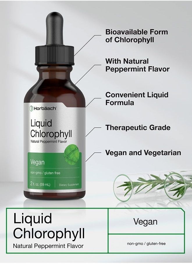 Liquid Chlorophyll, Natural Peppermint Flavor, 2 oz - pzsku/ZF7CECC2F427EC662CC65Z/45/_/1681668918/e9d426f8-7346-4ba6-8fad-540e6f8f2f5e