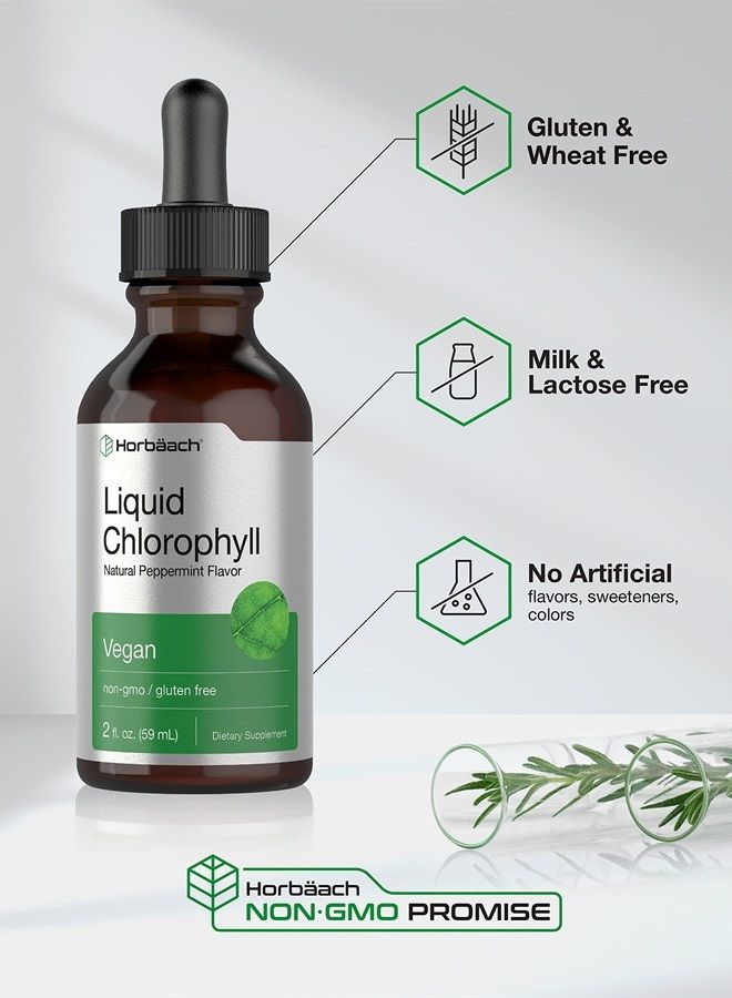 Liquid Chlorophyll, Natural Peppermint Flavor, 2 oz