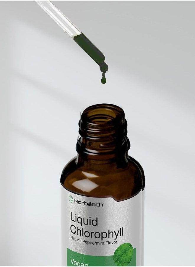 Liquid Chlorophyll, Natural Peppermint Flavor, 2 oz - pzsku/ZF7CECC2F427EC662CC65Z/45/_/1681668921/e79405d4-3485-41c4-ac6f-21ba56410eab