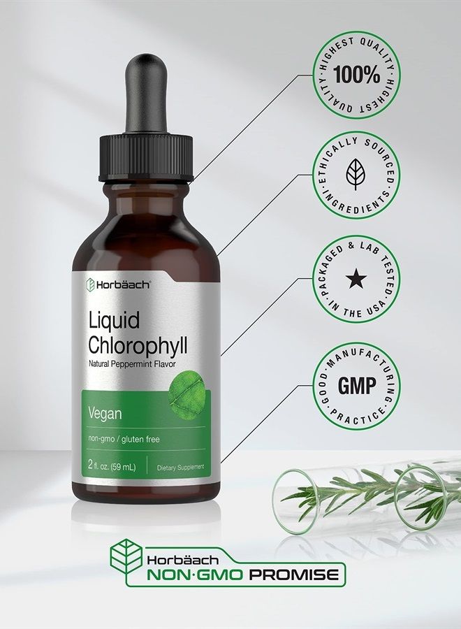 Liquid Chlorophyll, Natural Peppermint Flavor, 2 oz