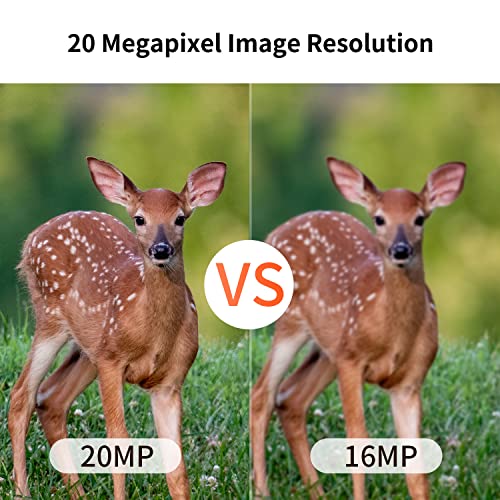 OUTDOOR EXPERT 20MP MINI Trail Camera,1080P Hunting Trail Camera with No Glow 940nm Night Vision Motion Activated IP66 Waterproof,80ft Illumination Range Hunting Game Cam for Wildlife Monitoring - Image 5